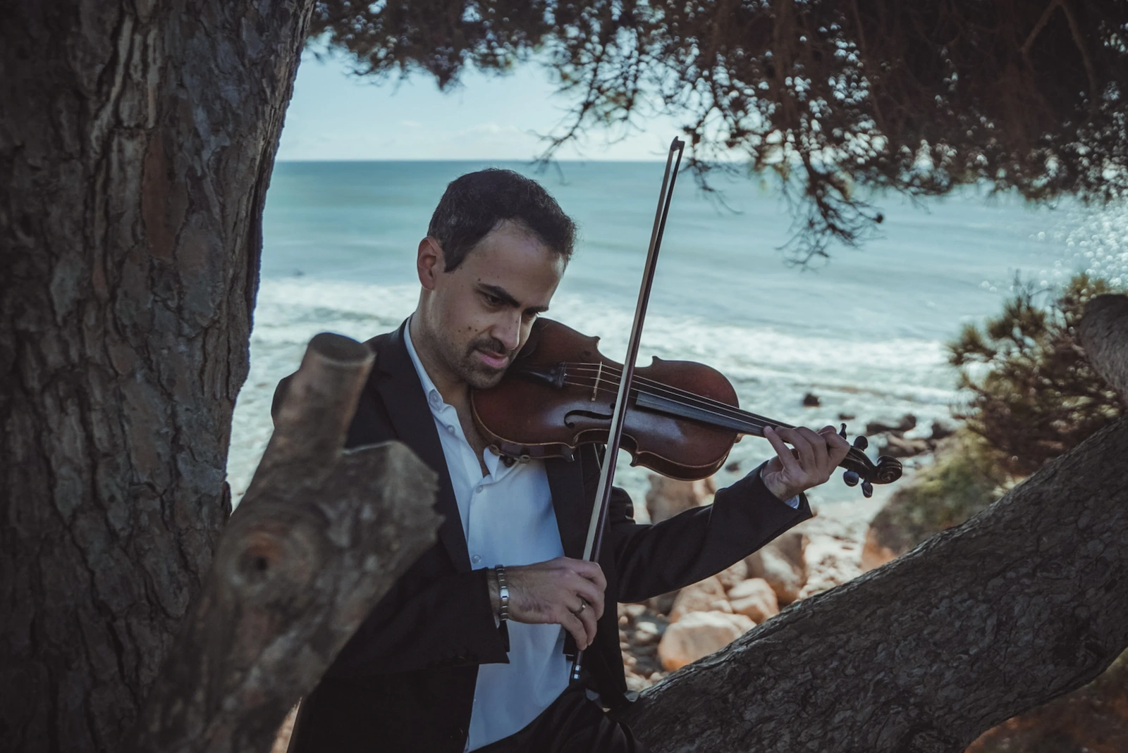 E. Sousa playing violin while seated on a tree beside the sea, wearing a black suit