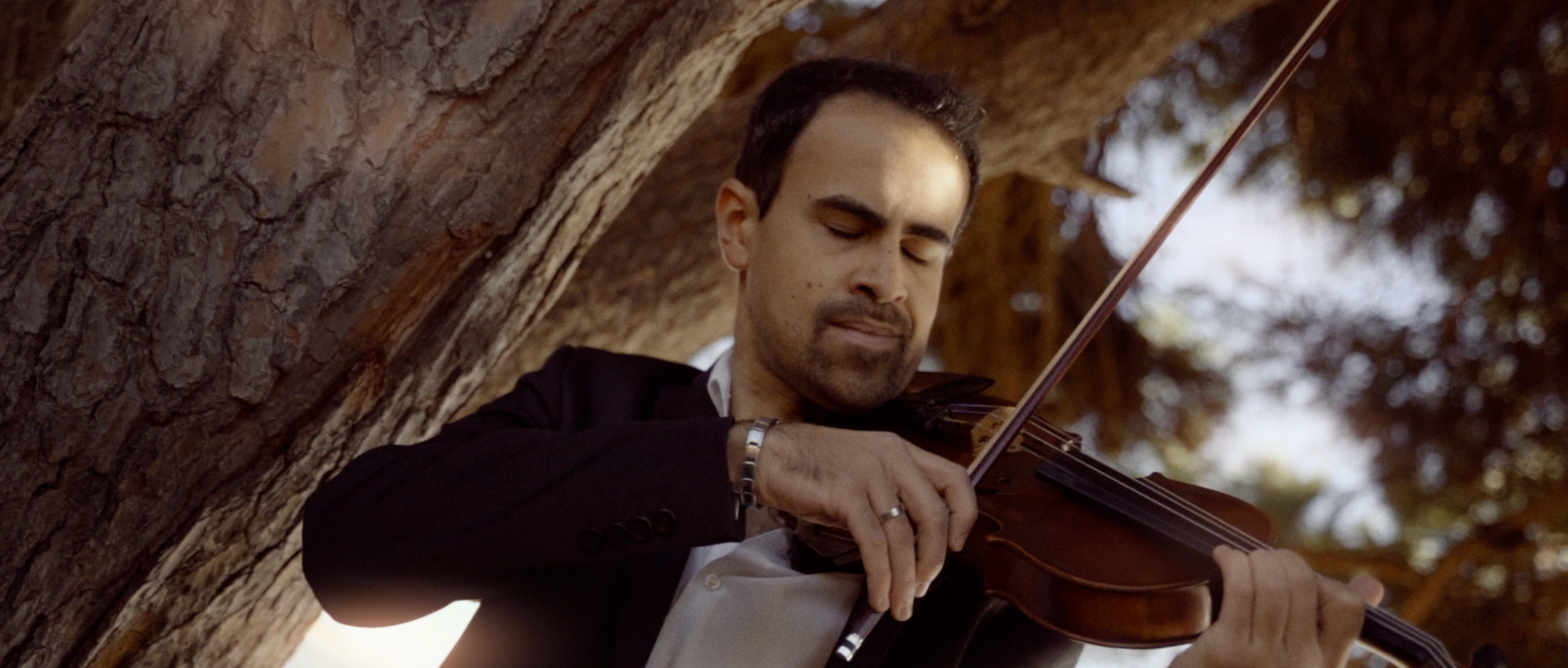 Cinematic portrait of E. Sousa playing violin with a tree in the background