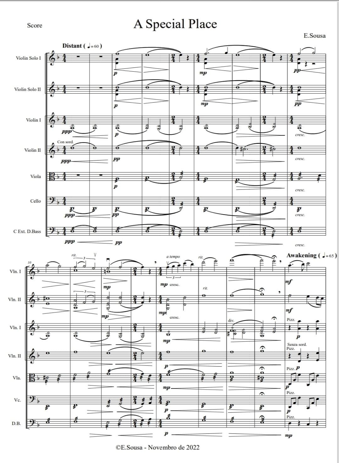 Music scores for the single "A Special Place" from the composer, violinist and music producer E. Sousa, also known as Eduardo Sousa. Doublebass, Cello, Viola, Violins and Violin Solos music sheets for purchase. Throughout time there have been many who have dedicated their lives to perfecting the craft of performing a musical instrument. The sensation of finally arriving at a point where you already master it is followed by a feeling of freedom and joy that is truly unique. In “A Special Place” the notes resonate with centuries of tradition, honoring the rich history of the violin and all the people who have made it come to life and transcend their physical selves, even if just for a fleeting instant. This piece is about the subtle dedication of countless hours of practice in the pursuit of the thrill of performing and the beauty of perseverance in the face of adversity, resulting in the sacred quotient of the uncanny symbiosis between musician and instrument.